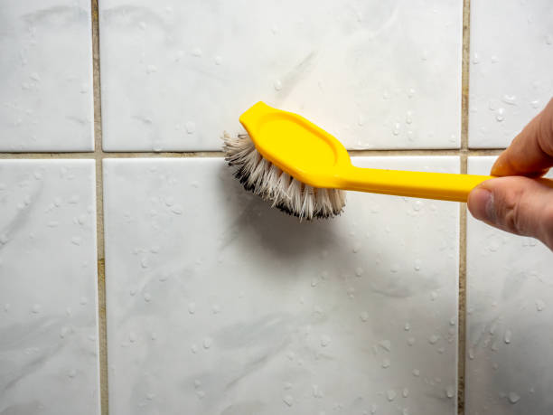 Best Industrial Mold Remediation in Basin, WY
