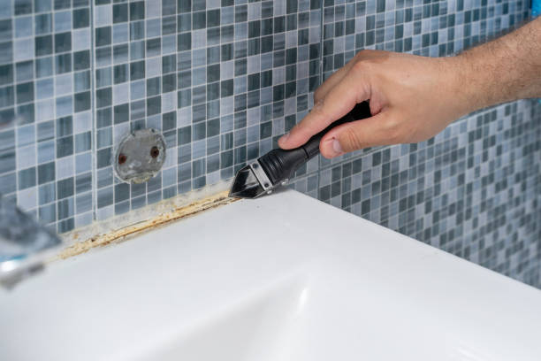 Best Localized Mold Remediation (e.g., coastal areas, humid climates) in Basin, WY